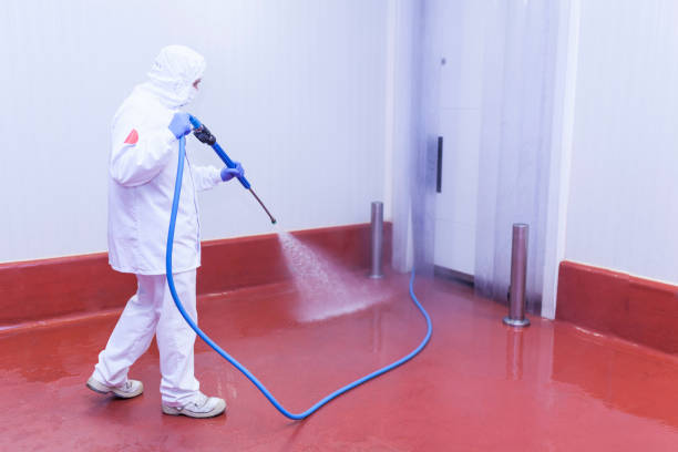 Professional Pressure Washing Services in Newtown Grant, PA